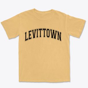 Levittown New York Varsity Premium Heavyweight T-shirt