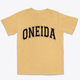 Oneida Illinois Varsity Premium Heavyweight T-shirt