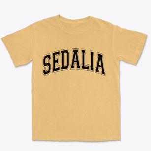 Sedalia North Carolina Varsity Premium Heavyweight T-shirt