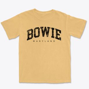 Bowie Maryland Urban Vibe Premium Heavyweight T-shirt