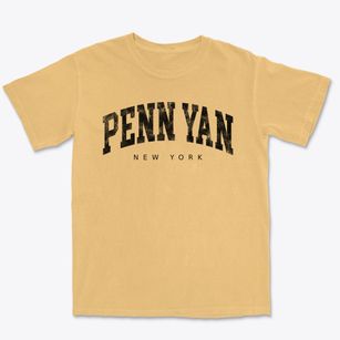 Penn Yan New York Urban Vibe Premium Heavyweight T-shirt