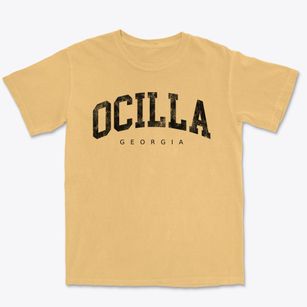 Ocilla Georgia Urban Vibe Premium Heavyweight T-shirt