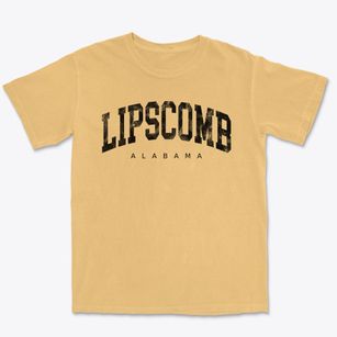 Lipscomb Alabama Urban Vibe Premium Heavyweight T-shirt