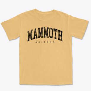 Mammoth Arizona Urban Vibe Premium Heavyweight T-shirt
