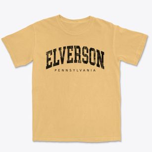 Elverson Pennsylvania Urban Vibe Premium Heavyweight T-shirt