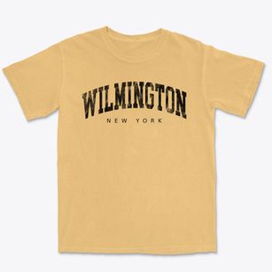 Wilmington New York Urban Vibe Premium Heavyweight T-shirt