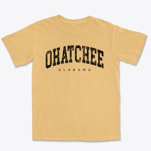 Ohatchee Alabama Urban Vibe Premium Heavyweight T-shirt