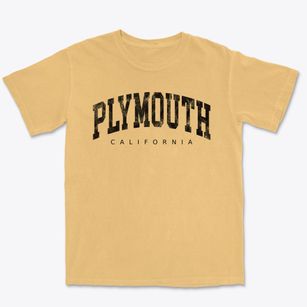 Plymouth California Urban Vibe Premium Heavyweight T-shirt