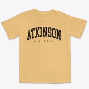Atkinson Illinois Urban Vibe Premium Heavyweight T-shirt