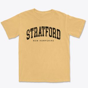 Stratford New Hampshire Urban Vibe Premium Heavyweight T-shirt