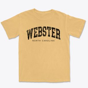 Webster North Carolina Urban Vibe Premium Heavyweight T-shirt