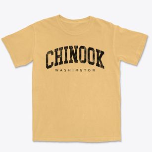 Chinook Washington Urban Vibe Premium Heavyweight T-shirt