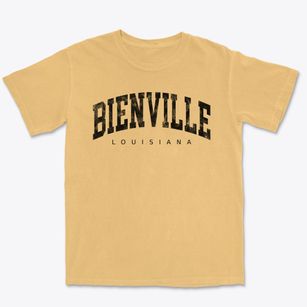 Bienville Louisiana Urban Vibe Premium Heavyweight T-shirt