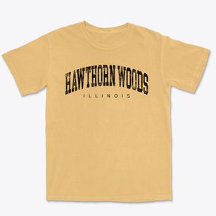 Hawthorn Woods Illinois Urban Vibe Premium Heavyweight T-shirt