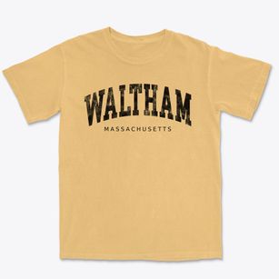 Waltham Massachusetts Urban Vibe Premium Heavyweight T-shirt
