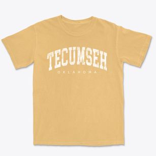 Tecumseh Oklahoma Urban Vibe Premium Heavyweight T-shirt