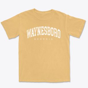 Waynesboro Georgia Urban Vibe Premium Heavyweight T-shirt