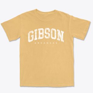 Gibson Arkansas Urban Vibe Premium Heavyweight T-shirt