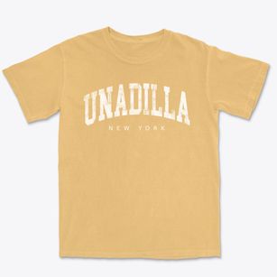 Unadilla New York Urban Vibe Premium Heavyweight T-shirt