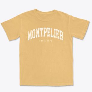 Montpelier Idaho Urban Vibe Premium Heavyweight T-shirt