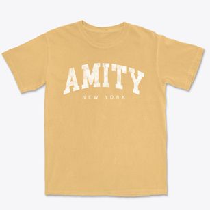 Amity New York Urban Vibe Premium Heavyweight T-shirt