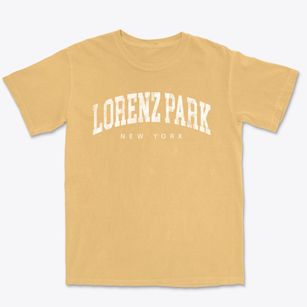 Lorenz Park New York Urban Vibe Premium Heavyweight T-shirt