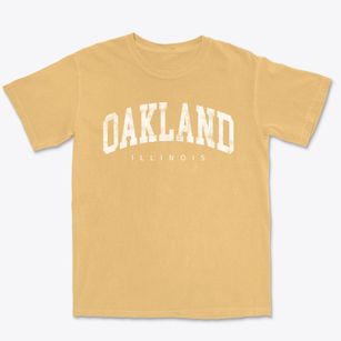 Oakland Illinois Urban Vibe Premium Heavyweight T-shirt
