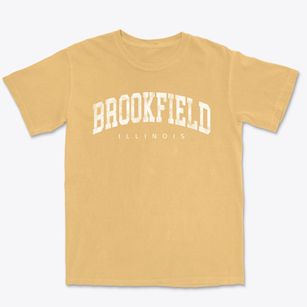 Brookfield Illinois Urban Vibe Premium Heavyweight T-shirt