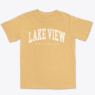 Lake View Arkansas Urban Vibe Premium Heavyweight T-shirt