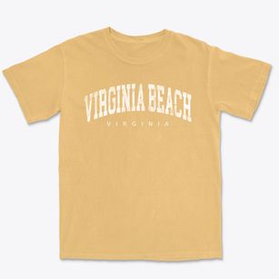 Virginia Beach Virginia Urban Vibe Premium Heavyweight T-shirt