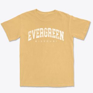 Evergreen Missouri Urban Vibe Premium Heavyweight T-shirt