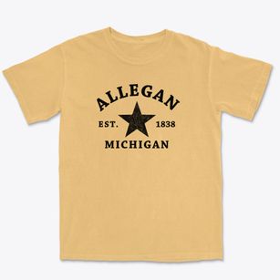 Allegan Michigan Star Premium Heavyweight T-shirt