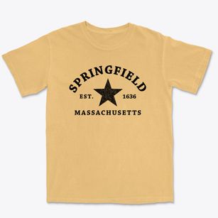 Springfield Massachusetts Star Premium Heavyweight T-shirt
