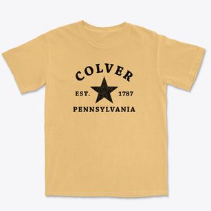 Colver Pennsylvania Star Premium Heavyweight T-shirt
