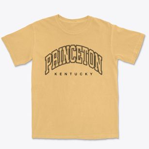 Princeton Kentucky Inline Premium Heavyweight T-shirt