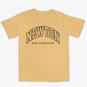 Newton New Hampshire Inline Premium Heavyweight T-shirt