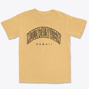 Mountain View Hawaii Inline Premium Heavyweight T-shirt