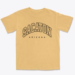 Sacaton Arizona Inline Premium Heavyweight T-shirt