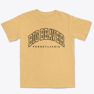 Big Beaver Pennsylvania Inline Premium Heavyweight T-shirt