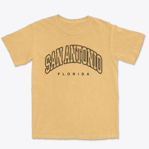 San Antonio Florida Inline Premium Heavyweight T-shirt