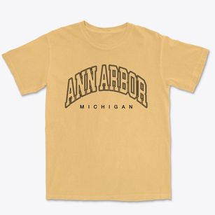 Ann Arbor Michigan Inline Premium Heavyweight T-shirt