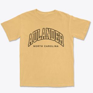 Aulander North Carolina Inline Premium Heavyweight T-shirt