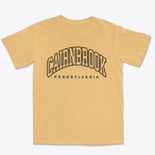 Cairnbrook Pennsylvania Inline Premium Heavyweight T-shirt