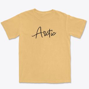 Arctic New York Freestyle Premium Heavyweight T-shirt