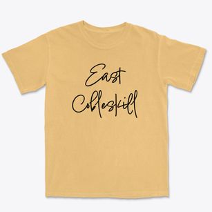 East Cobleskill New York Freestyle Premium Heavyweight T-shirt