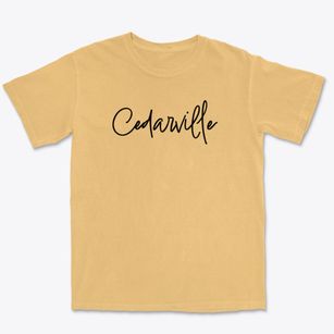Cedarville Missouri Freestyle Premium Heavyweight T-shirt