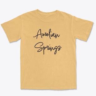 Aurelian Springs North Carolina Freestyle Premium Heavyweight T-shirt