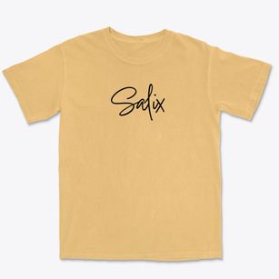 Salix Pennsylvania Freestyle Premium Heavyweight T-shirt