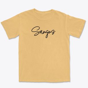 Saugus Massachusetts Freestyle Premium Heavyweight T-shirt
