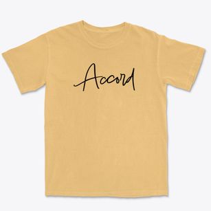 Accord New York Freestyle Premium Heavyweight T-shirt